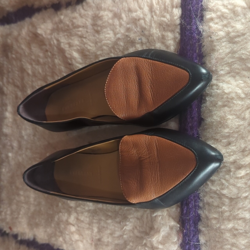 Two Tone - The Modern Point - Everlane Loafers
